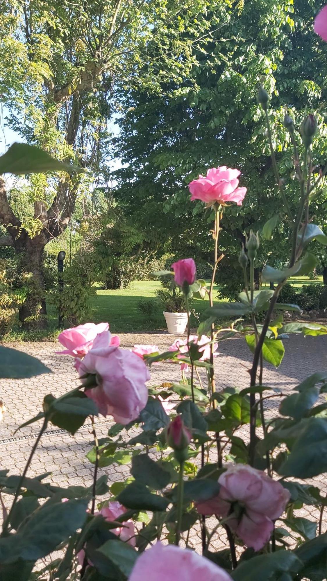 Villa Fioccomare Camaiore Zewnętrze zdjęcie