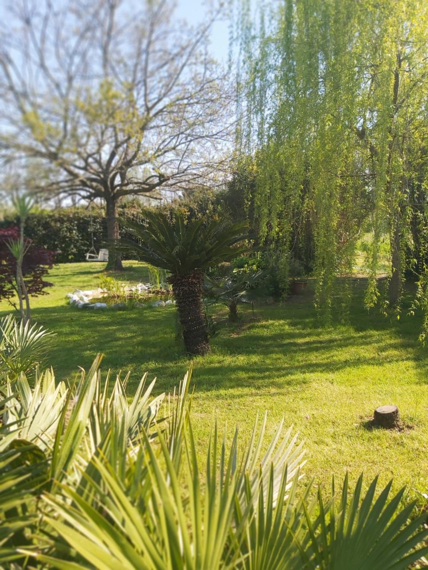 Villa Fioccomare Camaiore Zewnętrze zdjęcie
